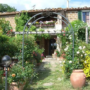 Le Querciolaie Monte Cavallo - Upper Saturnia